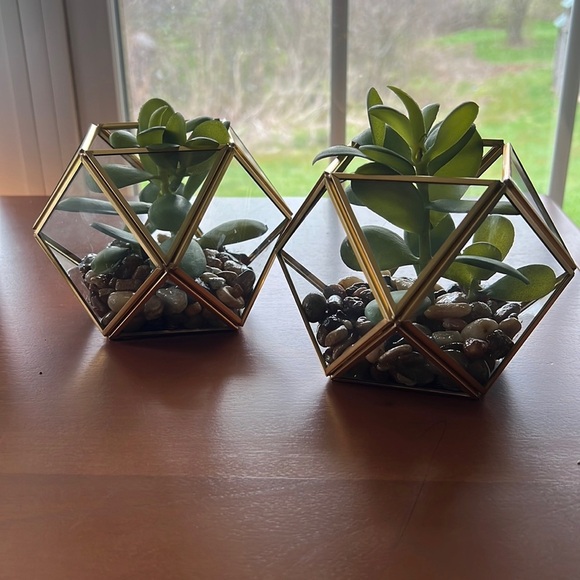 Set of 2 Opalhouse Filled Terrarium Faux Succulent Plant 4”x4” - Picture 2 of 9